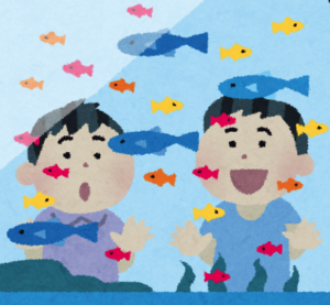 違う種類の熱帯魚を飼う前に