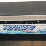 2019アクアリウムフェアに行ってきた その1ブースめぐり