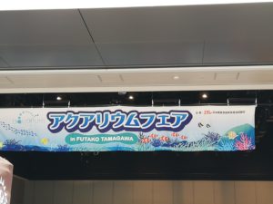 2019アクアリウムフェアに行ってきた その1ブースめぐり