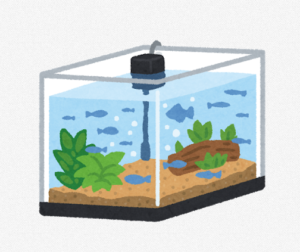 水槽の水をキレイにしたい！