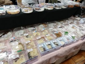 第20回アクアリウムバスに行ってきた その2