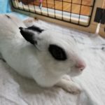 第20回アクアリウムバスに行ってきた その6