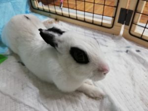 第20回アクアリウムバスに行ってきた　その6