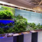 チャーム恵比寿店ってどんな感じ?